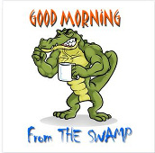 Swamp Gator Car Magnet